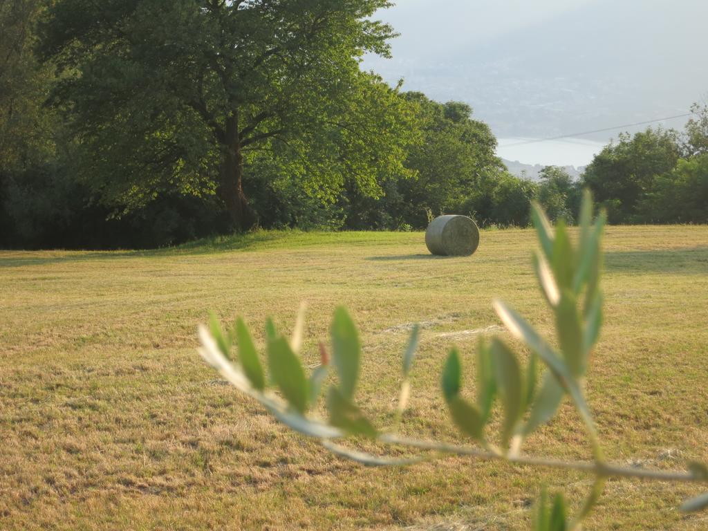 Agriturismo Deviscio Лекко Екстер'єр фото
